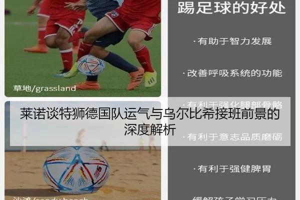 莱诺谈特狮德国队运气与乌尔比希接班前景的深度解析